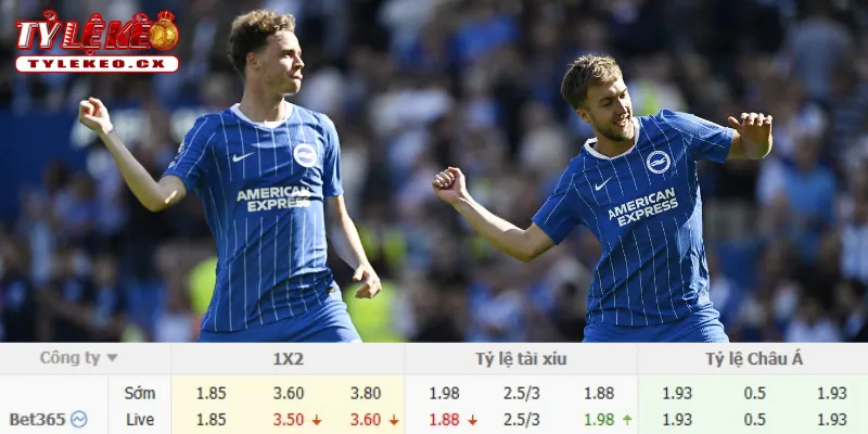 Soi Kèo Chelsea vs Brighton (20h00 ngày 30/08) Premier League 3 Chi tiết kèo Chelsea vs Brighton