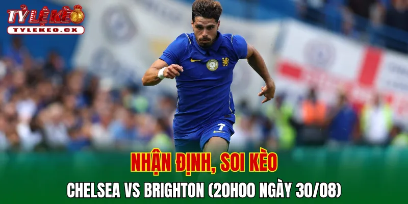 Soi Kèo Chelsea vs Brighton (20h00 ngày 30/08) Premier League 2 Soi kèo cuộc so tài Chelsea vs Brighton