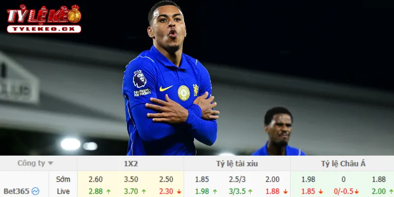 Soi Kèo Brentford vs Chelsea (02h00 ngày 19/09) Premier League 3 Chi tiết kèo Brentford vs Chelsea